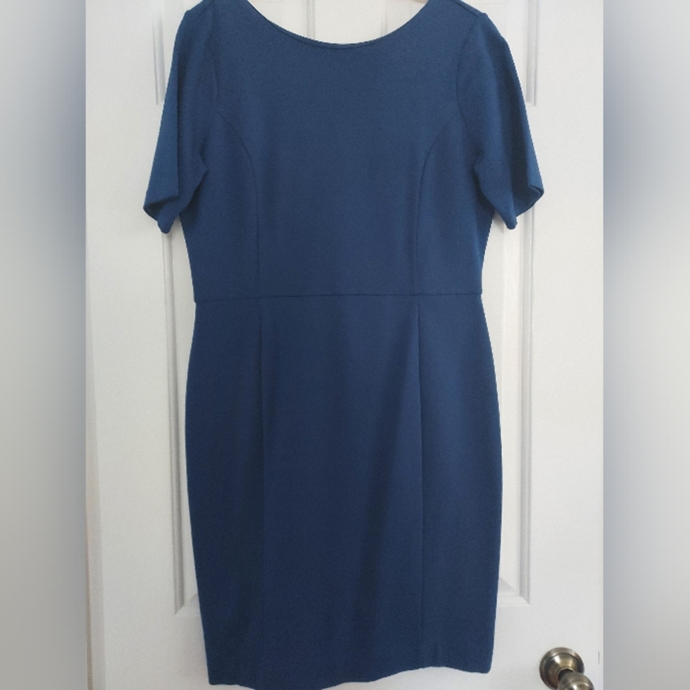 Ann Taylor Sheath Petite 12